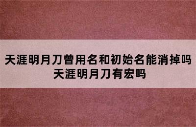 天涯明月刀曾用名和初始名能消掉吗 天涯明月刀有宏吗